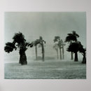 Suche nach hurrikan poster Wind