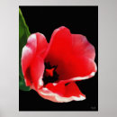 Suche nach gartendruck Blume