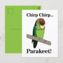 Suche nach parakeet postkarten Niedlich