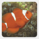Suche nach seeanemone aufkleber Unterwasser