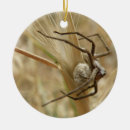 Suche nach kreter ornamente Tiere