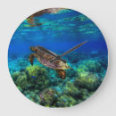 Suche nach schildkröte wanduhren Korallen
