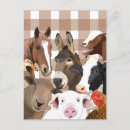 Suche nach farm animal postkarten Schwein