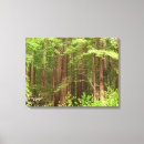 Suche nach monument leinwandbilder Wald