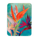 Suche nach bird magnete Flowers