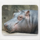 Suche nach nähern mousepads Tiere
