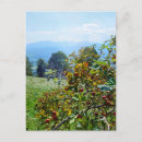 Suche nach tatra postkarten Natur