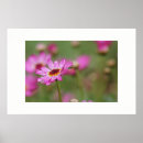Suche nach schöne blumen poster Für alle