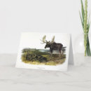 Suche nach hirsch karten Darstellung