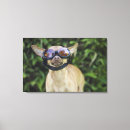 Suche nach schutzbrillen kunst Tiere
