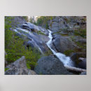 Suche nach sequoia national park poster Natur