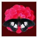 Suche nach roter schmetterling poster Malerei