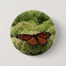 Suche nach schöner schmetterling buttons Jede person