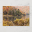 Suche nach herbstlandschaft postkarten Orange