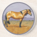 Suche nach mustang untersetzer Wildpferd