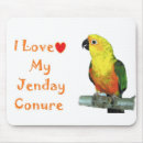 Suche nach jenday Conure