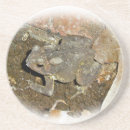 Suche nach kröten untersetzer Natur