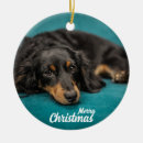 Suche nach weihnachtshunde ornamente Für alle