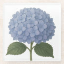 Suche nach blaue blüte untersetzer Botanisch
