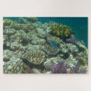 Suche nach great barrier reef puzzle Australien