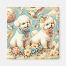 Suche nach bichon magnete Welpe