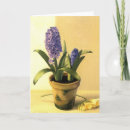 Suche nach hyazinthen karten Blume