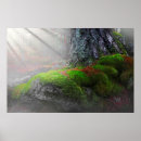 Suche nach moos poster Wald