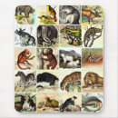 Suche nach wald mousepads Tierwelt