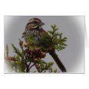 Suche nach liedvogel andere Singvogel