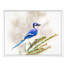 Suche nach vogel im winter poster Blau
