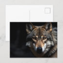 Suche nach wilder hund postkarten Wald