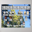 Suche nach kiefernwälder poster Grün