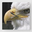 Suche nach weißkopfseeadler wanduhren Tiere