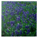 Suche nach voll fliesen Überfluss