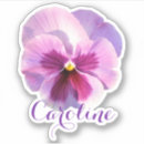Suche nach pansy aufkleber Stiefmütterchen