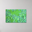 Suche nach thailand poster leinwandbilder Asiatinnen