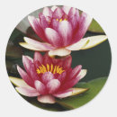 Suche nach hybrider aufkleber Blume