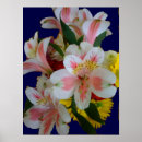 Suche nach amaryllis poster Floral