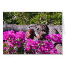 Suche nach wasserspeier postkarten Architektur