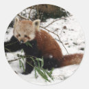 Suche nach roter panda aufkleber Niedlich