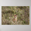 Suche nach lebensraum poster Natur