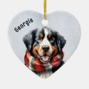 Suche nach berner ornamente Für alle