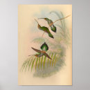 Suche nach kleiner vogel poster Illustration