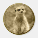 Suche nach meerkats magnete Suricate
