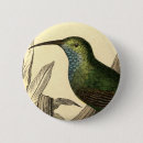 Suche nach kolibri buttons Vogel