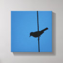 Suche nach drähte leinwandbilder Vogel