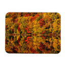 Suche nach teiche magnete Wald