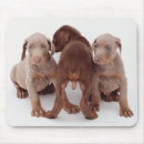 Suche nach unschuld mousepads Studioschuß