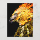 Suche nach phoenix postkarten Vogelvogel