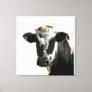 Suche nach cow leinwandbilder Holstein